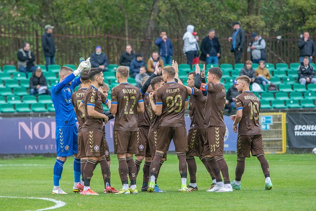 们带来所需 们带来所需