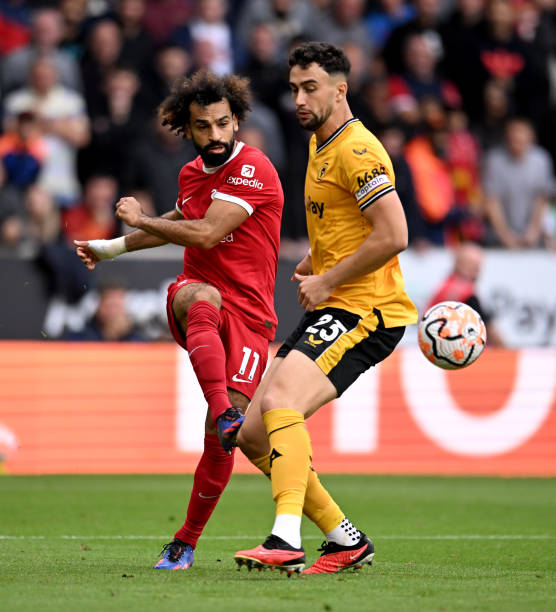 上都表现出 上都表现出